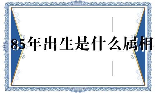 85年出生是什么属相 1985年出生属牛人2024年全年运势 