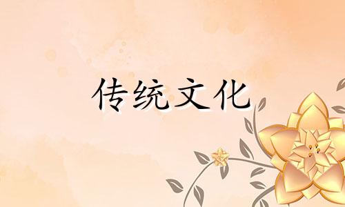 家里种什么植物旺人丁好 家里养什么植物旺人丁