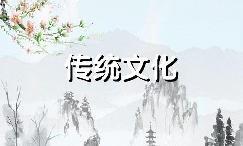 阳台适合放牡丹花吗风水好吗