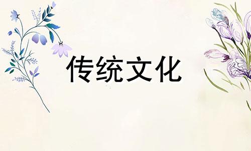 茶几上摆放什么花风水好呢