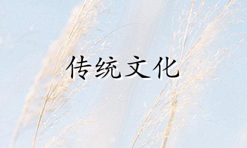 化解入户门右边就是洗手间