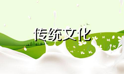 床头摆放什么植物对身体好呢