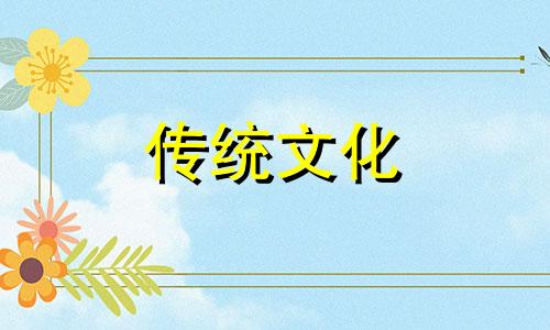什么人适合养龟的风水呢 什么人养龟可以旺财