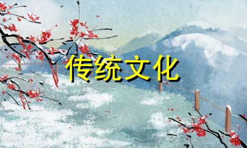 住宅的中宫在什么位置 屋里的中宫位在哪
