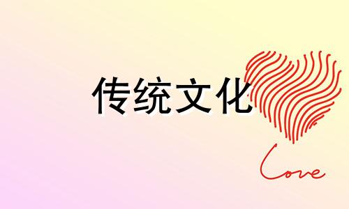 家里养花风水讲究与禁忌视频