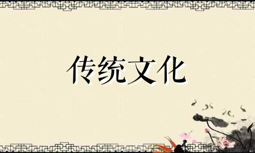 发财树摆放位置风水讲究 发财树摆放位置风水哪里最好公司