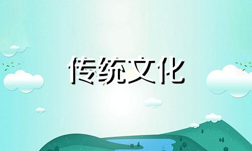 养乌龟的风水讲究与禁忌是什么