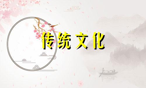 哪些人最适合养狗养猫 哪些人适合养狗狗