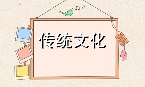 女命伤官代表什么意思 女命伤官代表什么人物