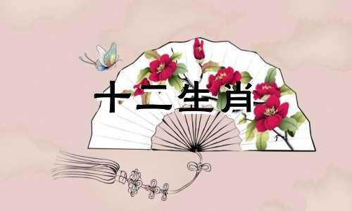 1960年属鼠的在2022年的运势