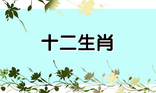 1996年2023年属鼠人的全年运势详解