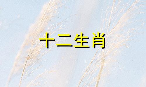 1960年属鼠人2021年8月运势