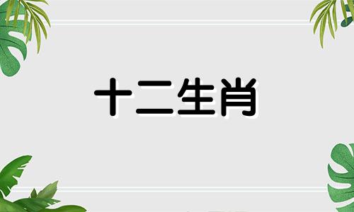 1972年属鼠人在2023年怎么样