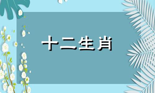 属鼠女最好的配偶生肖 属鼠女相配婚姻如何