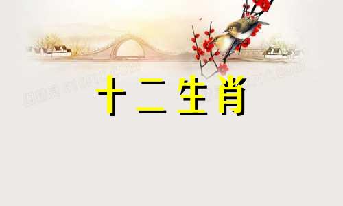 属鼠女如何谈恋爱更成功呢