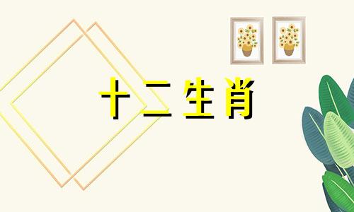 1960年属鼠人2021年6月运势
