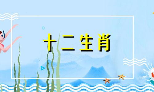 2023年属鼠如何搭配颜色才能增加财运呢