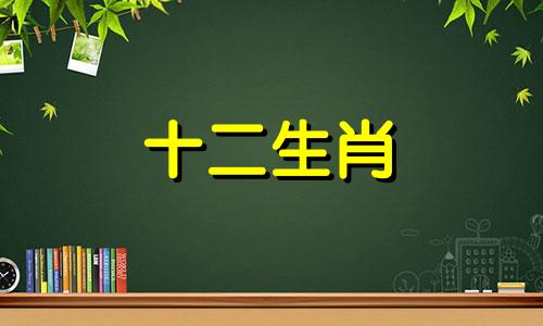 属蛇和属鼠的要属兔的孩子