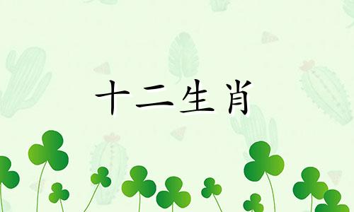 2023年兔年犯太岁的四个属相