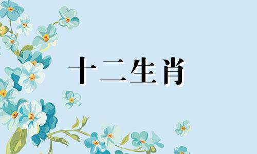 属鼠的2023年运势和财运怎么样