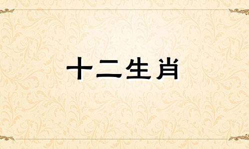 2o21年属鼠和属狗的能结婚吗