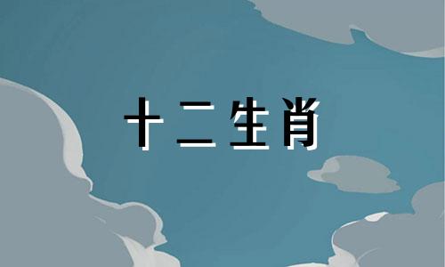 2008年属鼠的运气怎么样 2008年属鼠人命运如何