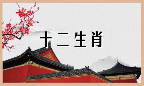 属鼠男的2020年下半年的运势怎么样