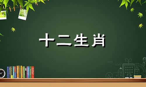 2023年属鼠女全年运势详解