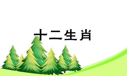 96年属鼠女命在2023年的财富和事业运势如何呢