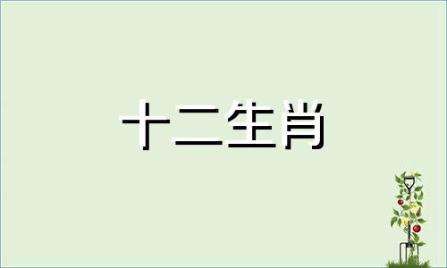 2023年属鼠女的运势会咋样
