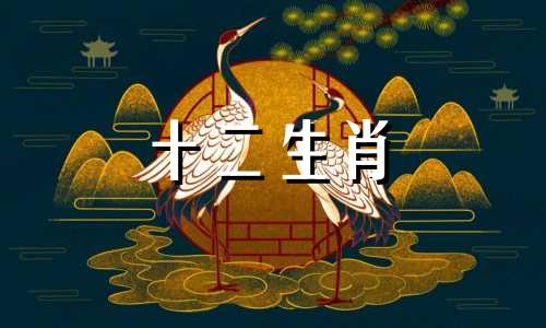 如何应对属牛人的劫难？以38岁的85年属牛人为例