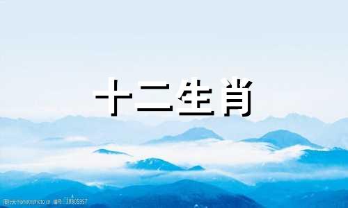 2009年出生2021年属牛人的全年运势