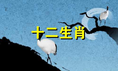 2023年属牛人的全年运势男性