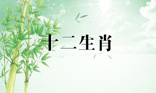 属牛的2021年5月运势如何