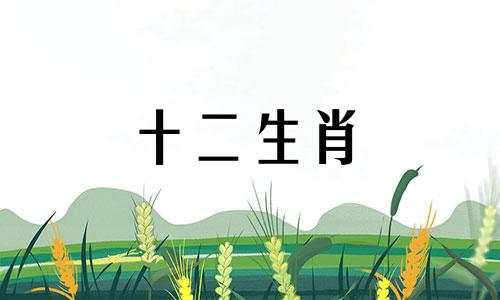 2023年1973年属牛女全年运势