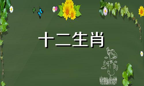 85年属牛女2023年的财富和事业运势是怎样的