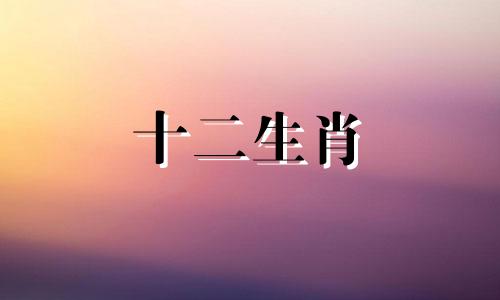 2023年属牛女的婚姻运势如何呢