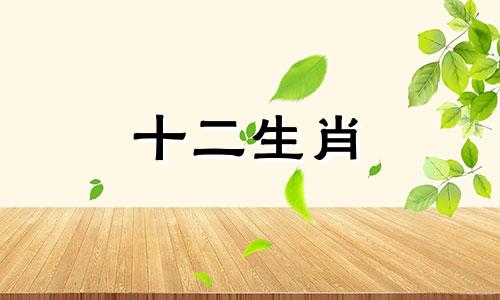 哪些生肖女在2023年会遇到正缘?属虎,属狗,还是属兔