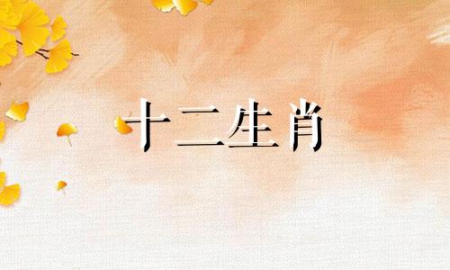 属虎和属狗的人在2023年适合要孩子吗女孩