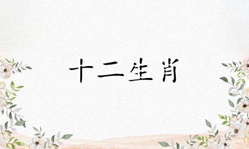 属虎的2023年运势和财运怎么样