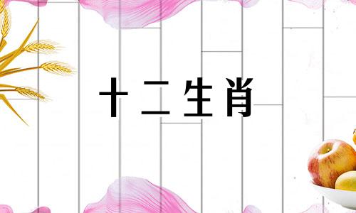 属虎女在2023年运势会怎样呢