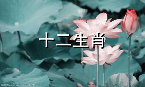 属虎人2023年3月运势运程怎么样呢