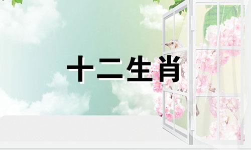 属虎2023年2月运势及运程解析