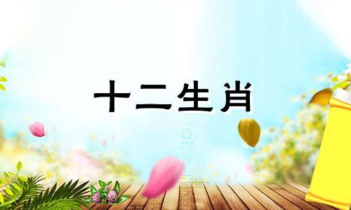 寅时出生的男人一生中的婚姻和事业命运如何