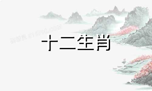 寅时出生的男孩五行缺什么
