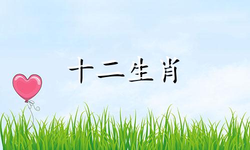 属兔的人最容易拥有大富大贵的时辰是什么？为何子亥时出生会财运兴旺？
