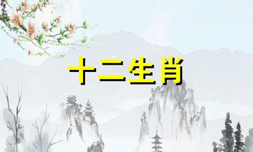 属兔男孩出生的四个最佳时辰是哪些？在子时出生是否会享受福禄双全的命运？