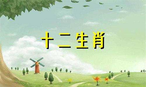 属兔农历几月出生最多倒霉