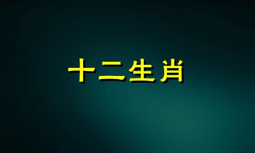 2024年属兔人的全年每月 2024年兔年几月出生好
