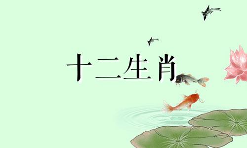 1987年属兔人是孤寡命吗女
